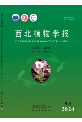 西北植物学报封面